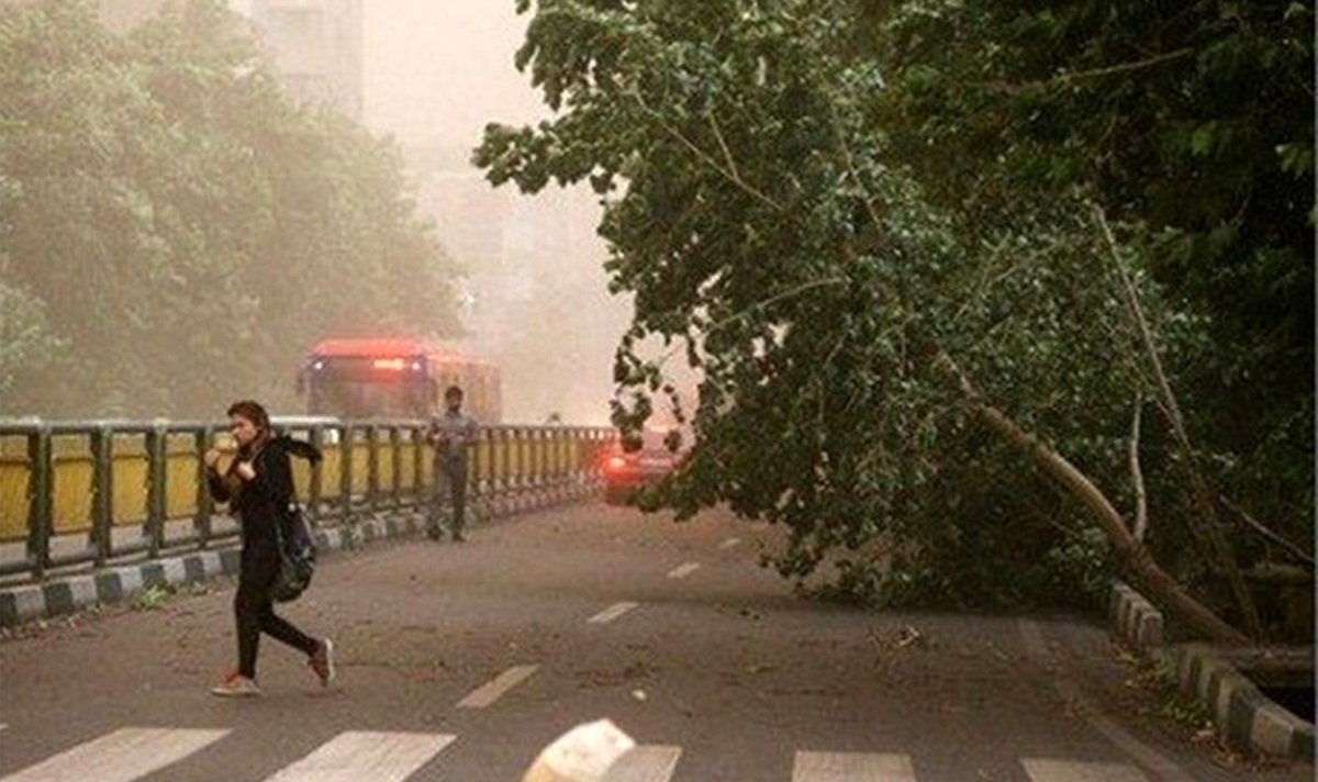 انشا در مورد وزش شدید باد | ۱۰ انشای ادبی از صفحه ۵۳ نگارش هشتم 3 انشا در مورد حس شنیدن صدای وزش باد پاییزی