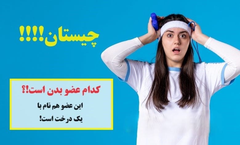چیستان های قشنگ و جذاب