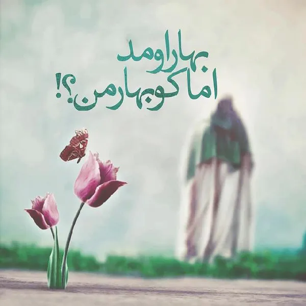 عکس نیمه شعبان برای استوری به همراه متن های زیبای تبریک 6 عکس نیمه شعبان برای استوری