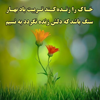 جملات زیبا درباره باد بهاری