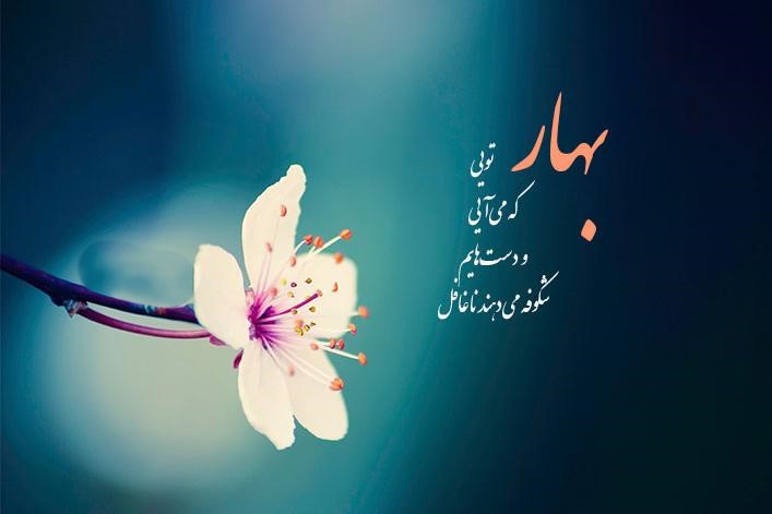 کپشن درباره فصل بهار 🌼 / استوری، بیو، متن و جملات بهاری 2 جملات زیبای بهاری برای کپشن