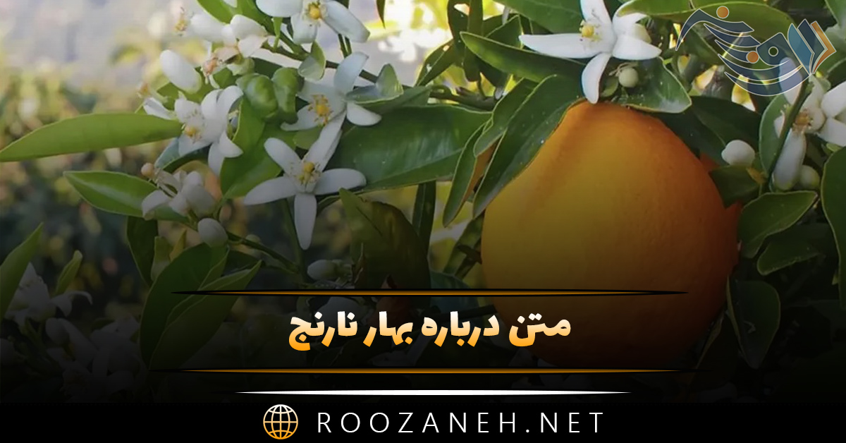 متن درباره بهار نارنج 🍊؛ جملات ادبی، دلنوشته و متن زیبا 1 متن درباره بهار نارنج 🍊؛ جملات ادبی، دلنوشته و متن زیبا