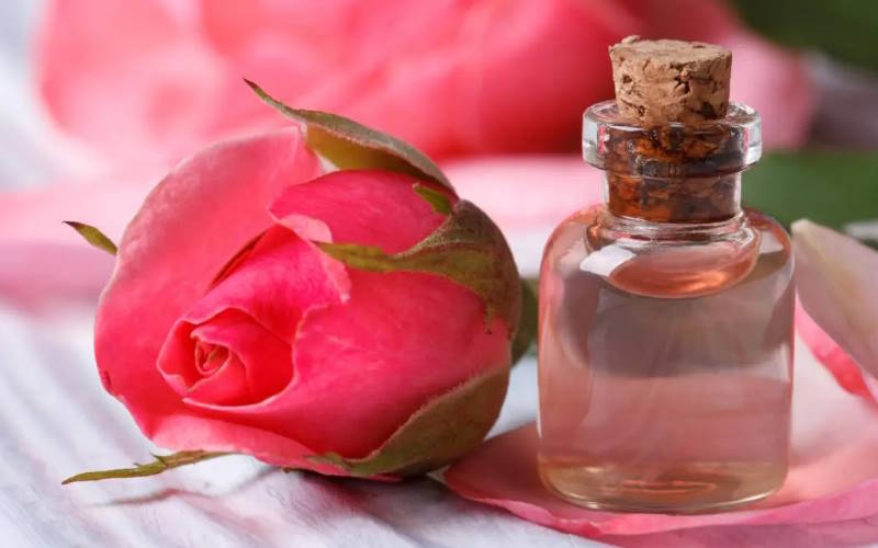 گلاب گیری و روش های آن؛ مراحل فرآوری تا فروش انواع گلاب 2 مراحل و مسیر گلاب گیری