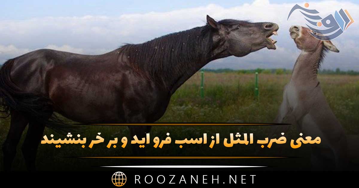 معنی ضرب المثل از اسب فرو آید و بر خر بنشیند