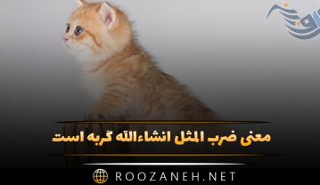 معنی ضرب المثل انشاءالله گربه است (داستان و تحلیل ضرب المثل) ضرب المثل انشاءالله گربه است