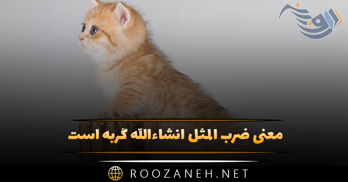 معنی ضرب المثل انشاءالله گربه است