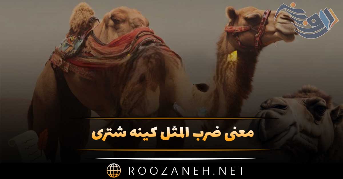 معنی ضرب المثل کینه شتری / مفهوم کاربردی و انشا 1 معنی ضرب المثل کینه شتری / مفهوم کاربردی و انشا
