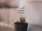 عکس نوشته های خاص برای استوری به همراه متن های لاکچری عکس نوشته های خاص برای استوری