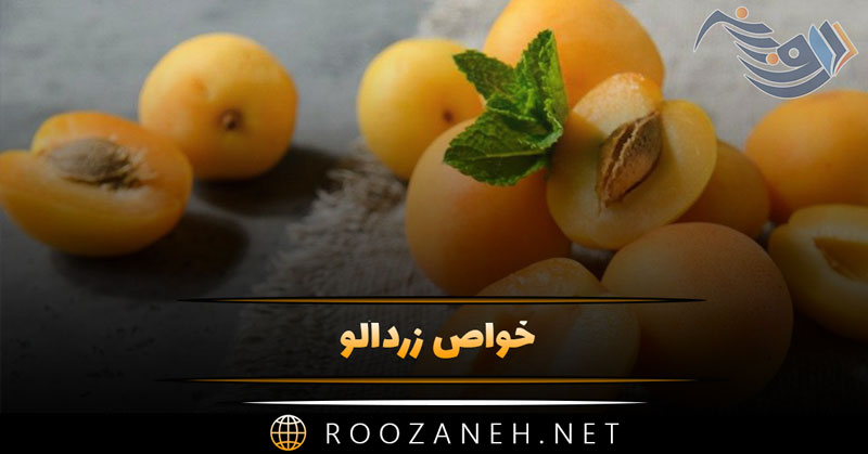 خواص زردآلو؛ ارزش غذایی، فواید برای سلامت، زیبایی، پوست و مو 1 zardaloo