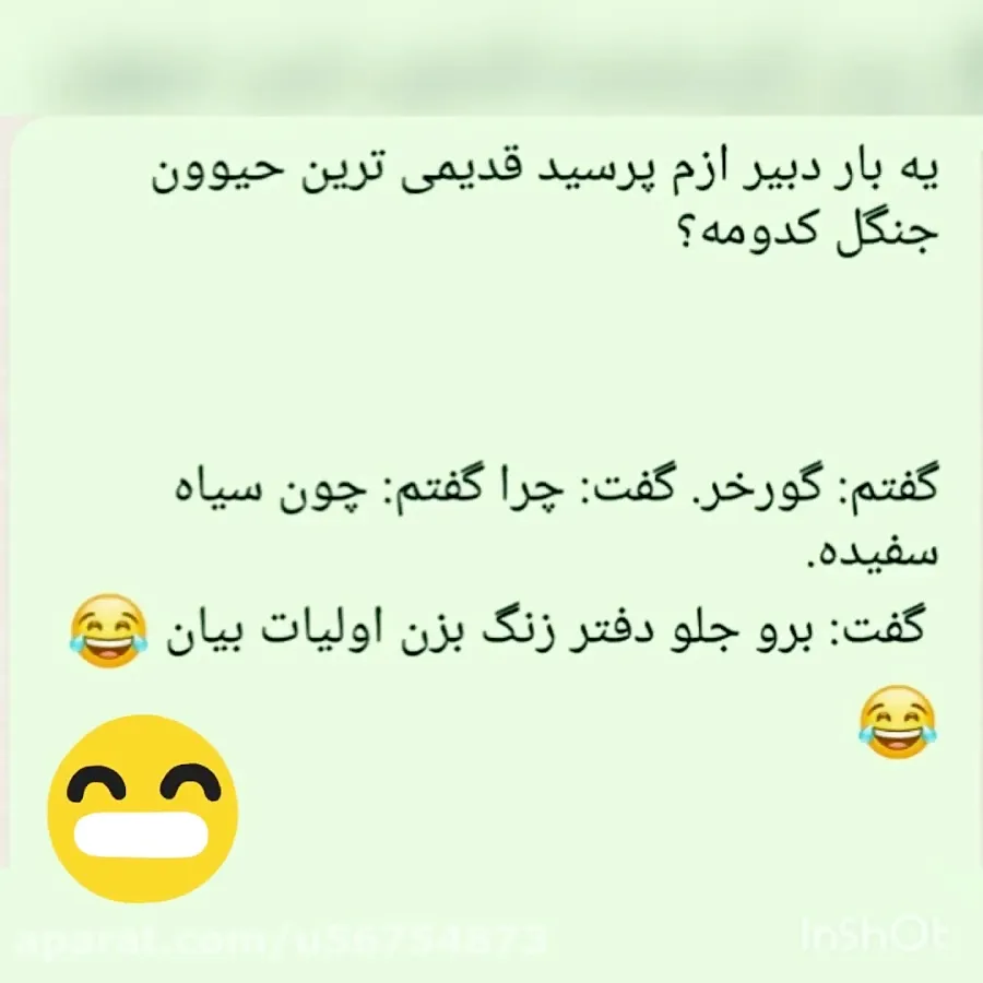 جوک های خنده‌دار جدید