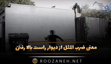 معنی ضرب المثل از دیوار راست بالا رفتن + انشا و حکایت جالب ضرب المثل از دیوار راست بالا رفتن
