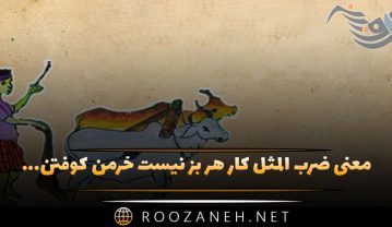 معنی ضرب المثل کار هر بز نیست خرمن کوفتن