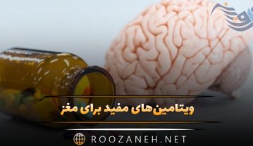 ویتامین‌های مفید برای مغز