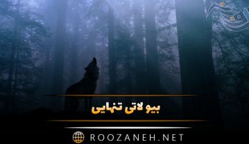 بیو کوتاه لاتی تنهایی خفن / ۱۰۰ بیوگرافی تنهایی برای اینستاگرام بیو کوتاه لاتی تنهایی خفن