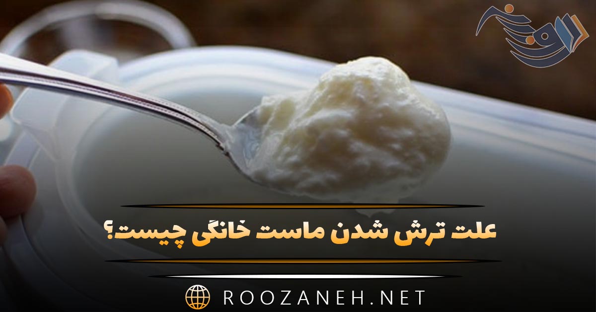 علت ترش شدن ماست خانگی چیست؟ ۱۰ روش علمی برای جلوگیری از ترشی ماست 1 علت ترش شدن ماست خانگی چیست؟ ۱۰ روش علمی برای جلوگیری از ترشی ماست