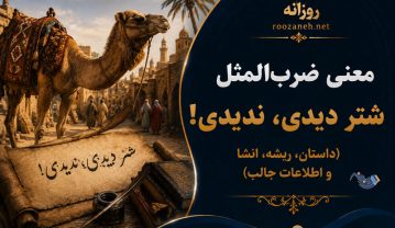معنی ضرب‌المثل شتر دیدى، ندیدى!