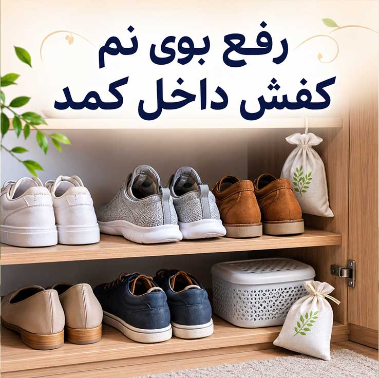 نحوه رفع بوی نم و رطوبت از کمد دیواری؛ روشهای خانگی، اصولی و دائمی 4 رفع بوی نم کفش داخل کمد
