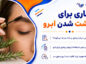 رزماری برای پرپشت شدن ابرو؛ آیا واقعاً مؤثر است؟؛ روش استفاده ایمن، عوارض و محدودیتها رزماری برای پرپشت شدن ابرو