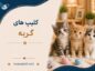 کلیپ های گربه / ویدیوهای کوتاهِ قشنگ از گربههای بامزه کلیپ های گربه