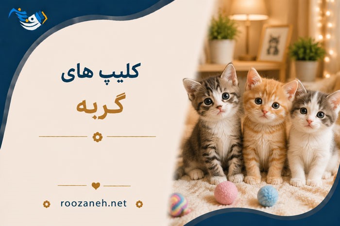 کلیپ های گربه / ویدیوهای کوتاهِ قشنگ از گربههای بامزه 1 کلیپ های گربه / ویدیوهای کوتاهِ قشنگ از گربههای بامزه