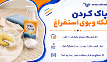 پاک کردن لکه و بوی استفراغ؛ روش تمیز کردن لباس، فرش و مبل؛ راهکارهای فوری برای لکه تازه و خشکشده پاک کردن لکه و بوی استفراغ