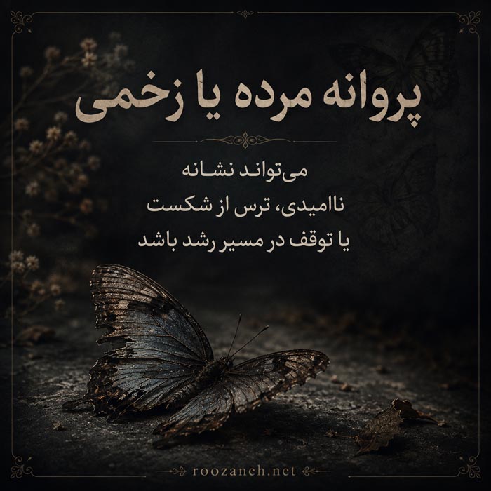 تعبیر خواب پروانه و نماد تغییر و دگرگونی
