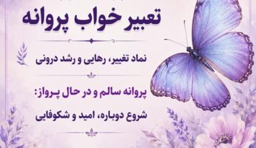 تعبیر خواب پروانه؛ معنی پروانه سفید، سیاه، رنگی، مرده و در خانه تعبیر خواب پروانه