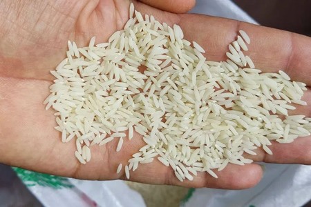 تل پهن پارچهای اسپرت و مجلسی؛ ۳۸ مدل شیک و راهنمای ست کردن 2 تل پهن پارچه ای ساده برای موهای باز