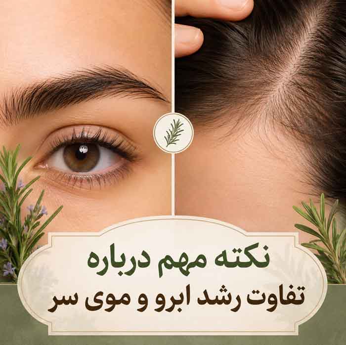 رزماری برای پرپشت شدن ابرو؛ آیا واقعاً مؤثر است؟؛ روش استفاده ایمن، عوارض و محدودیتها 6 نکته مهم درباره تفاوت رشد ابرو و موی سر