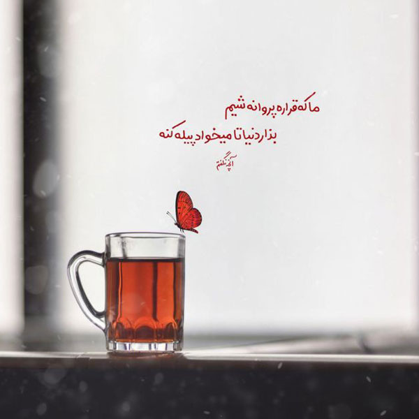 عکس نوشته چای (مجموعه عکس های زیبا درباره چای خوردن برای استوری)