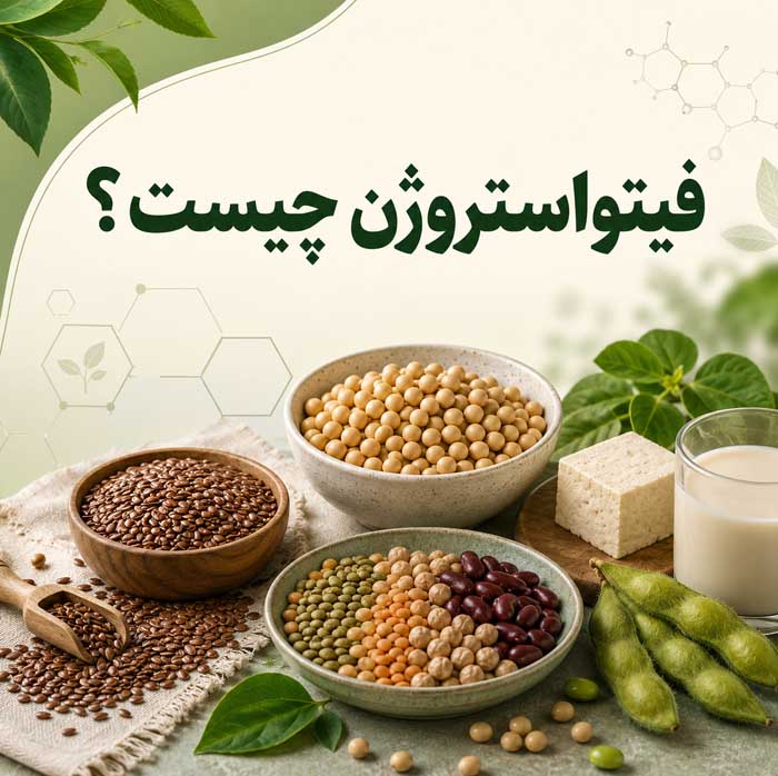 منابع غذایی فیتواستروژن؛ معرفی خوراکیهای گیاهی سرشار از این ترکیبات؛ از سویا تا بذر کتان 2 فیتواستروژن چیست؟