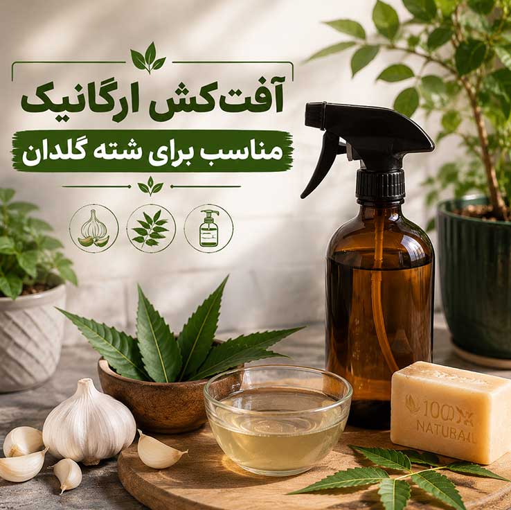 آفت‌کش ارگانیک مناسب برای شته گلدان