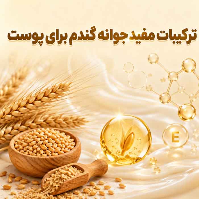 کرم جوانه گندم برای پوست؛ فواید احتمالی برای خشکی و خطوط ریز؛ واقعیت تأثیر آن بر لک چیست؟ 2 ترکیبات مفید جوانه گندم برای پوست
