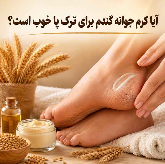 کرم جوانه گندم برای پوست؛ فواید احتمالی برای خشکی و خطوط ریز؛ واقعیت تأثیر آن بر لک چیست؟ 7 آیا کرم جوانه گندم برای ترک پا خوب است؟