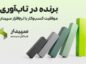 تاب‌آوری با راهکارهای حسابداری سپیدار سیستم؛ تخفیف ویژه خرید نرم‌افزار حسابداری
