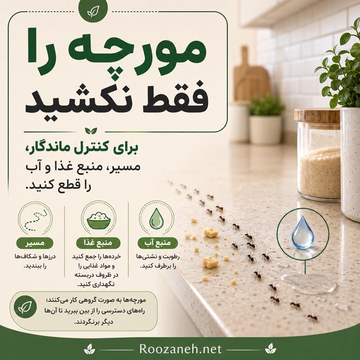 روش های خانگی برای از بین بردن مورچه و کنترل مسیر ورود در خانه