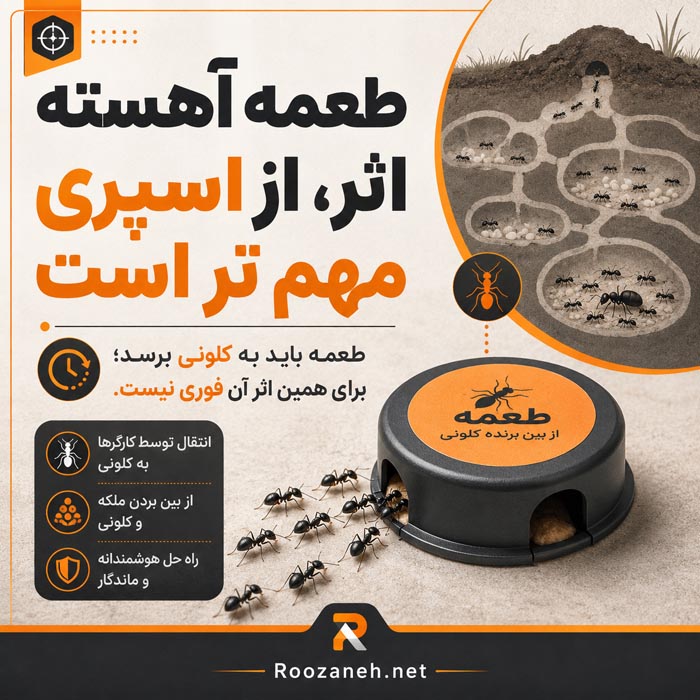 جلوگیری از بازگشت مورچه به خانه با درزگیری و حذف منابع غذا و آب