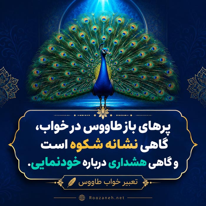 تعبیر خواب طاووس؛ معنی طاووس رنگی، سفید، پر طاووس و تمام حالتها 6 تعبیر خواب طاووس در خانه و معنی ورود طاووس به خانه
