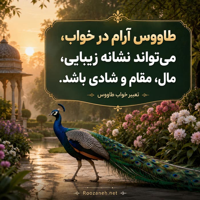 تعبیر خواب طاووس؛ معنی طاووس رنگی، سفید، پر طاووس و تمام حالتها 5 تعبیر خواب طاووس رنگارنگ و معنی دیدن طاووس زیبا و رنگی