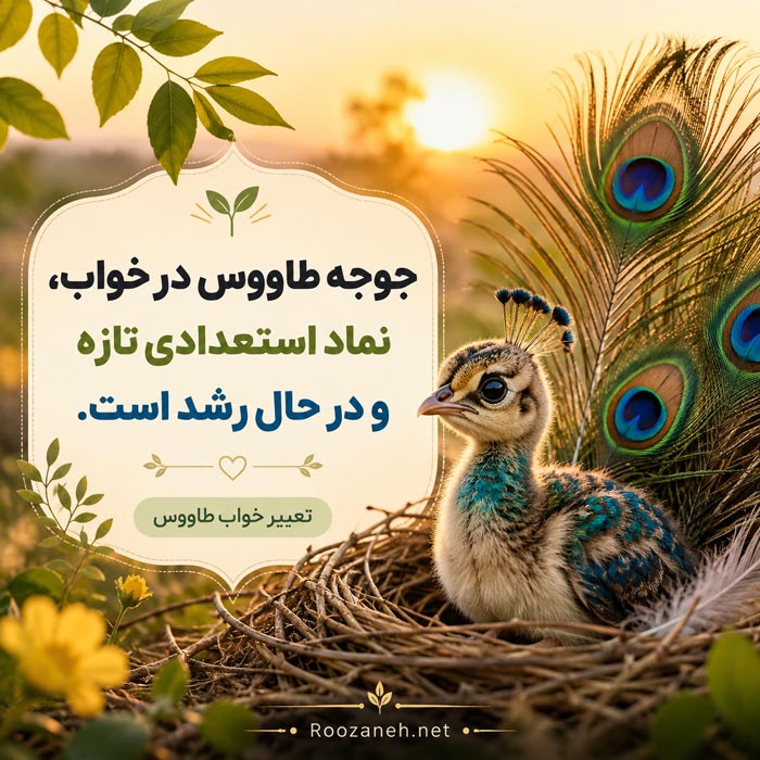 تعبیر خواب باران در طبیعت