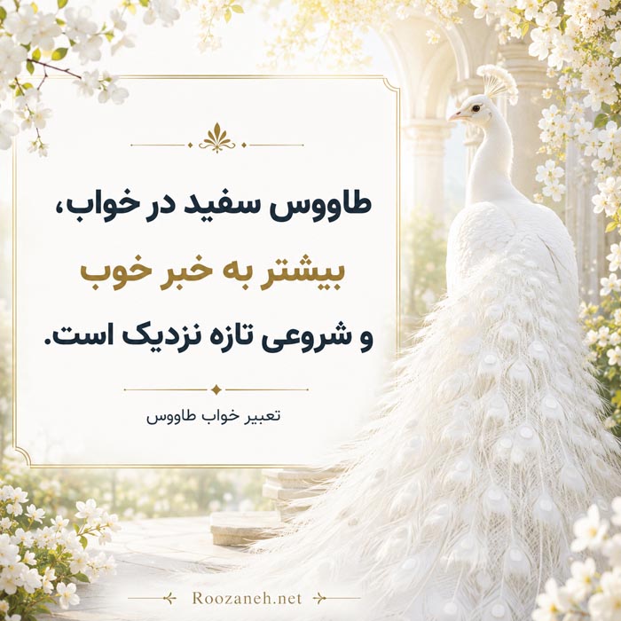 تعبیر خواب جنگل سرسبز و زیبا