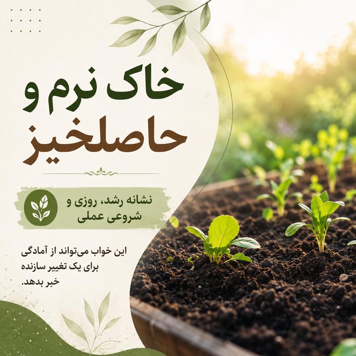 تعبیر خواب خاک؛ معنی دیدن خاک، گرد و غبار و خاکبرداری در خواب 6 راه رفتن روی خاک در خواب