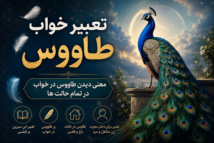 تعبیر خواب طاووس؛ معنی طاووس رنگی، سفید، پر طاووس و تمام حالتها 1 تعبیر خواب طاووس؛ معنی طاووس رنگی، سفید، پر طاووس و تمام حالتها