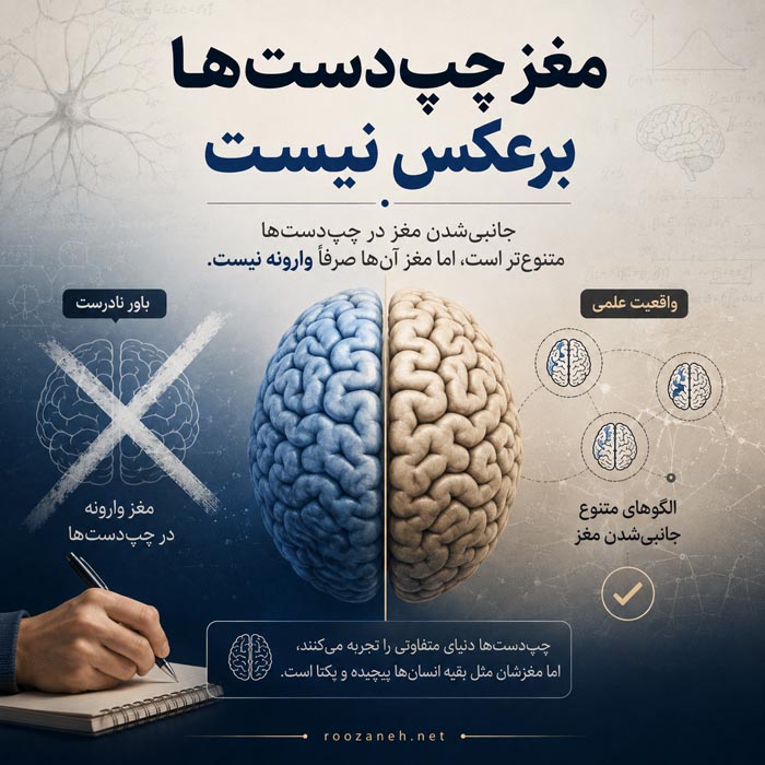 چرا بعضی افراد چپدست میشوند؟ همه چیز درباره چپدستها 4 تفاوت مغز افراد چپدست و راستدست از نگاه علمی