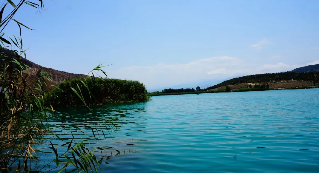 دریاچه الیمالات نور؛ راهنمای کامل سفر به دریاچه جنگلی مازندران 7 نمای آرام آب دریاچه الیمالات با نیزار و طبیعت اطراف