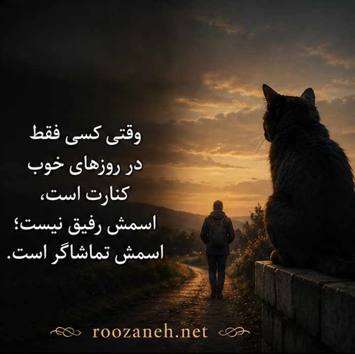 متن تیکه دار آدم گربه صفت