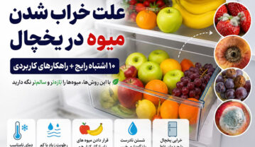 چرا میوه در یخچال خراب میشود؟ راهنمای کامل نگهداری میوه خراب شدن میوه در یخچال