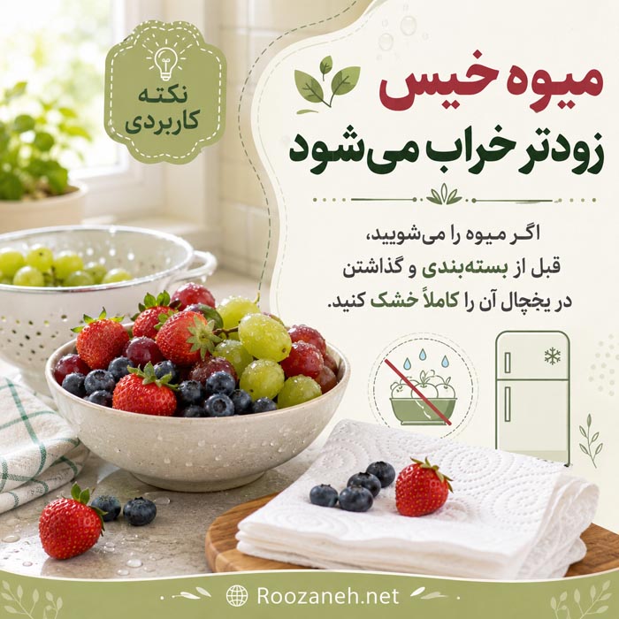 خشک کردن کامل میوه شسته شده پیش از قرار دادن آن در یخچال
