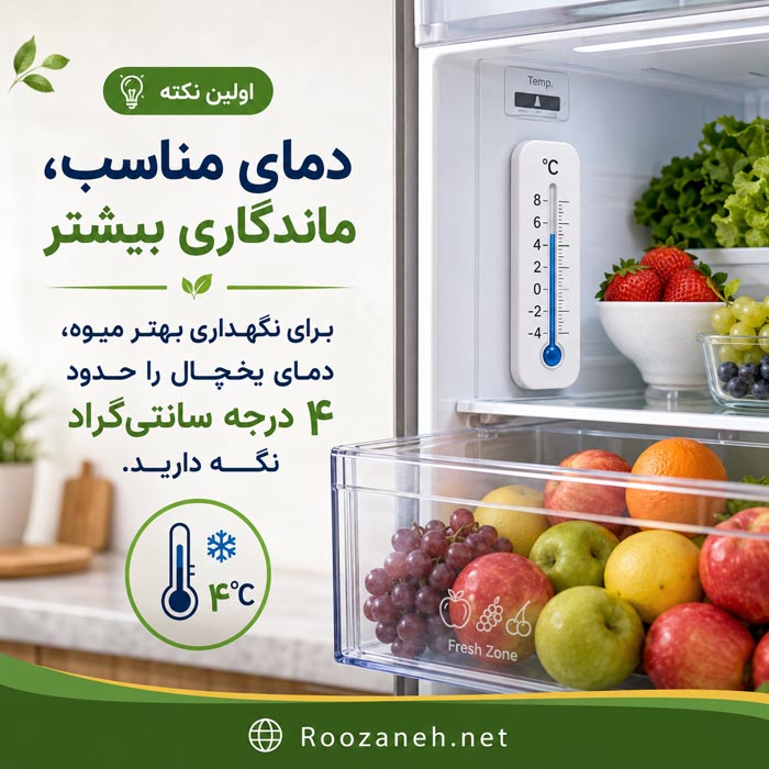 دمای مناسب یخچال برای نگهداری میوه و جلوگیری از خراب شدن زودهنگام