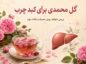 گل محمدی برای کبد چرب؛ خواص، روش مصرف و نظر علم درباره دمنوش و گلاب گل محمدی برای کبد چرب